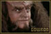  Gowron