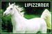 Lipizzaner