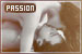 Concepts and Ideas: Passion