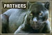 Felines: Panthers