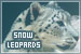 Snow Leopards