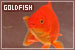 Goldfish
