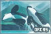 Orcas