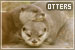Otters