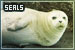 Seals