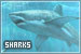 Sharks