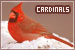 Cardinals