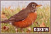Robins