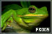 Frogs