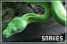 Snakes