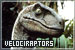 Velociraptors