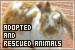 Adopted and Rescued Animals