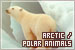 Arctic / Polar Animals