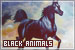 Black Animals