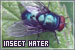Animals & Nature: Insects
